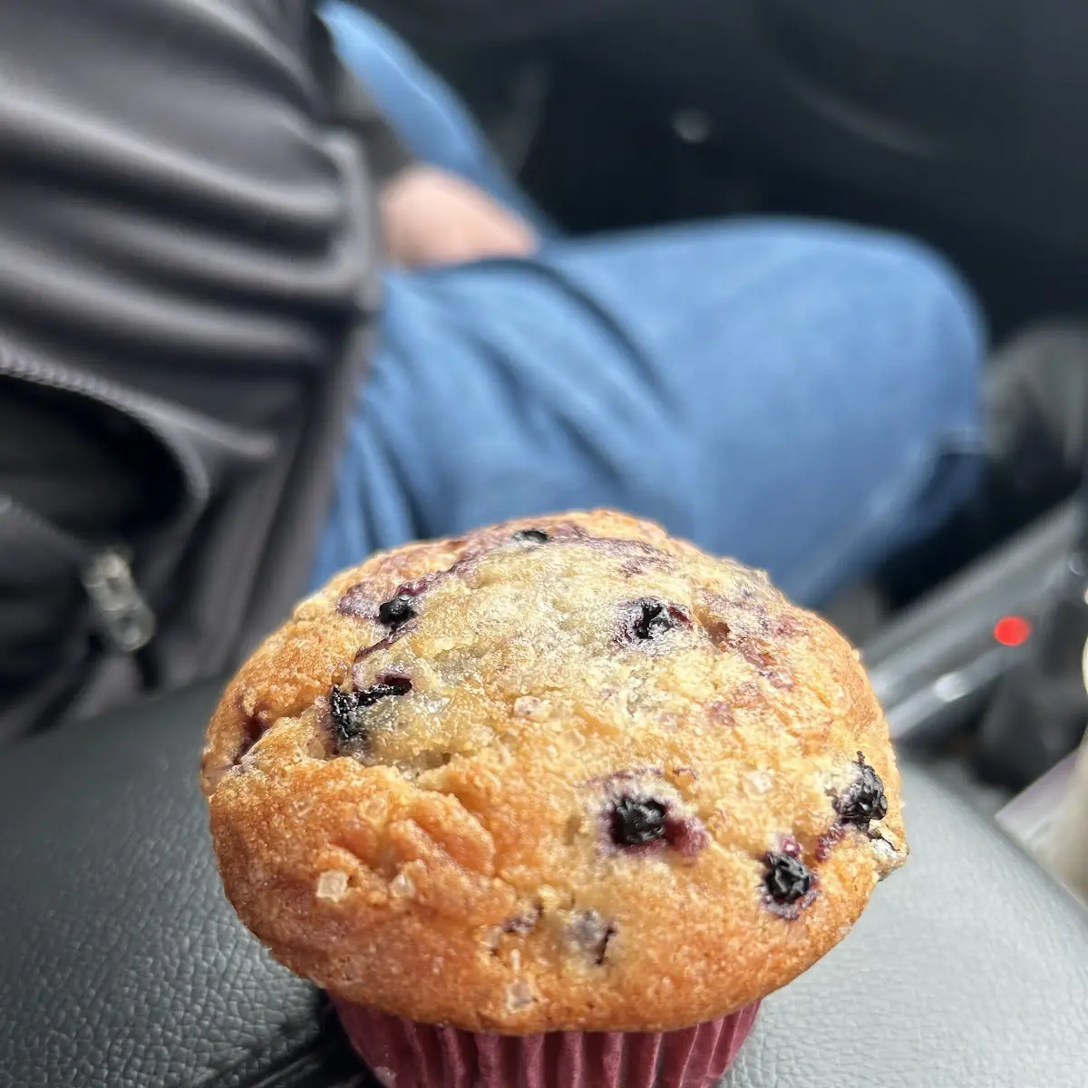 Blueberry Muffin