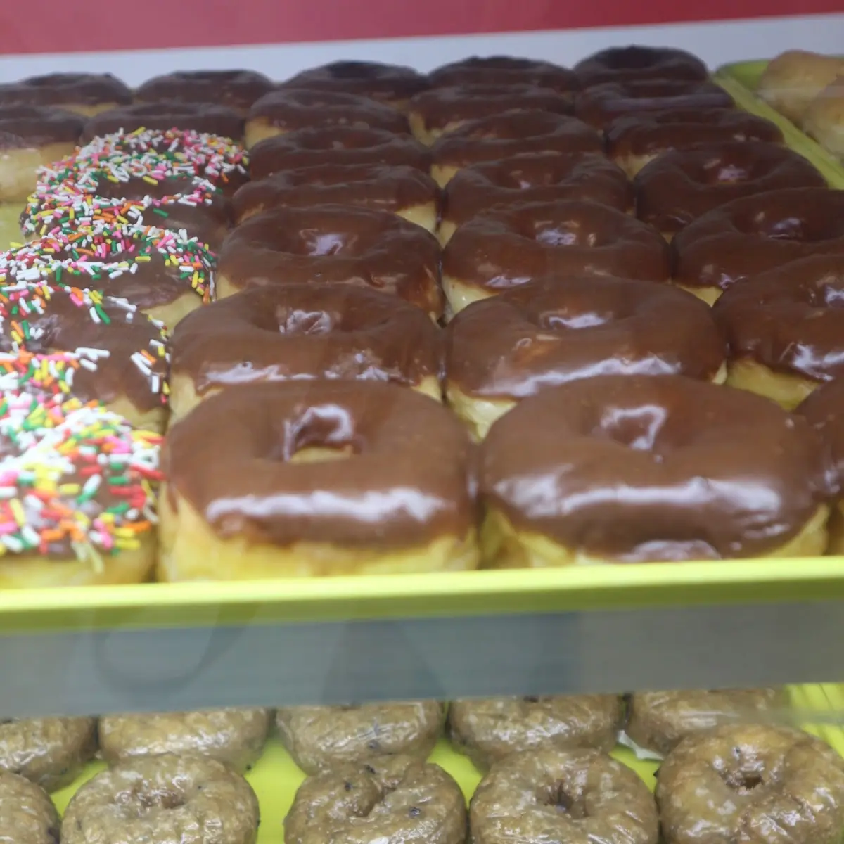 Doughnut