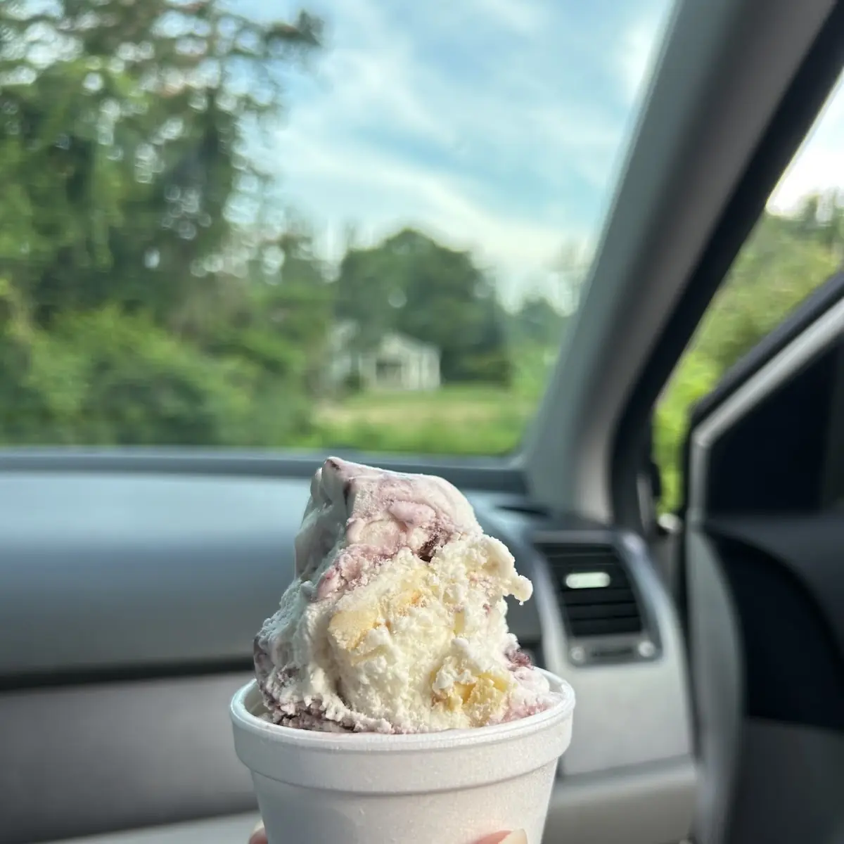Gelato