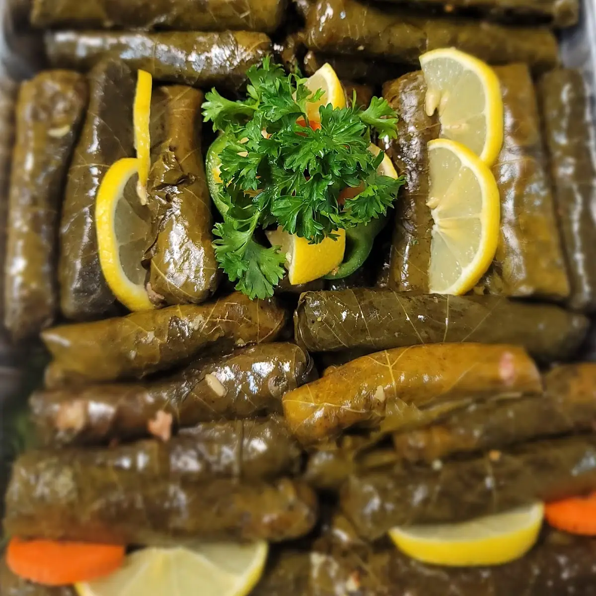 Grape Leaves Dolma