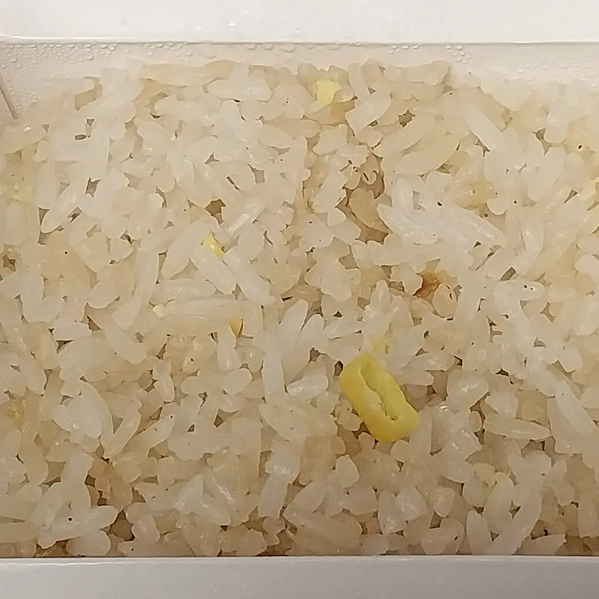 Fried Rice