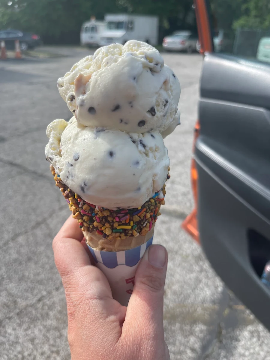 Chocolate Chip