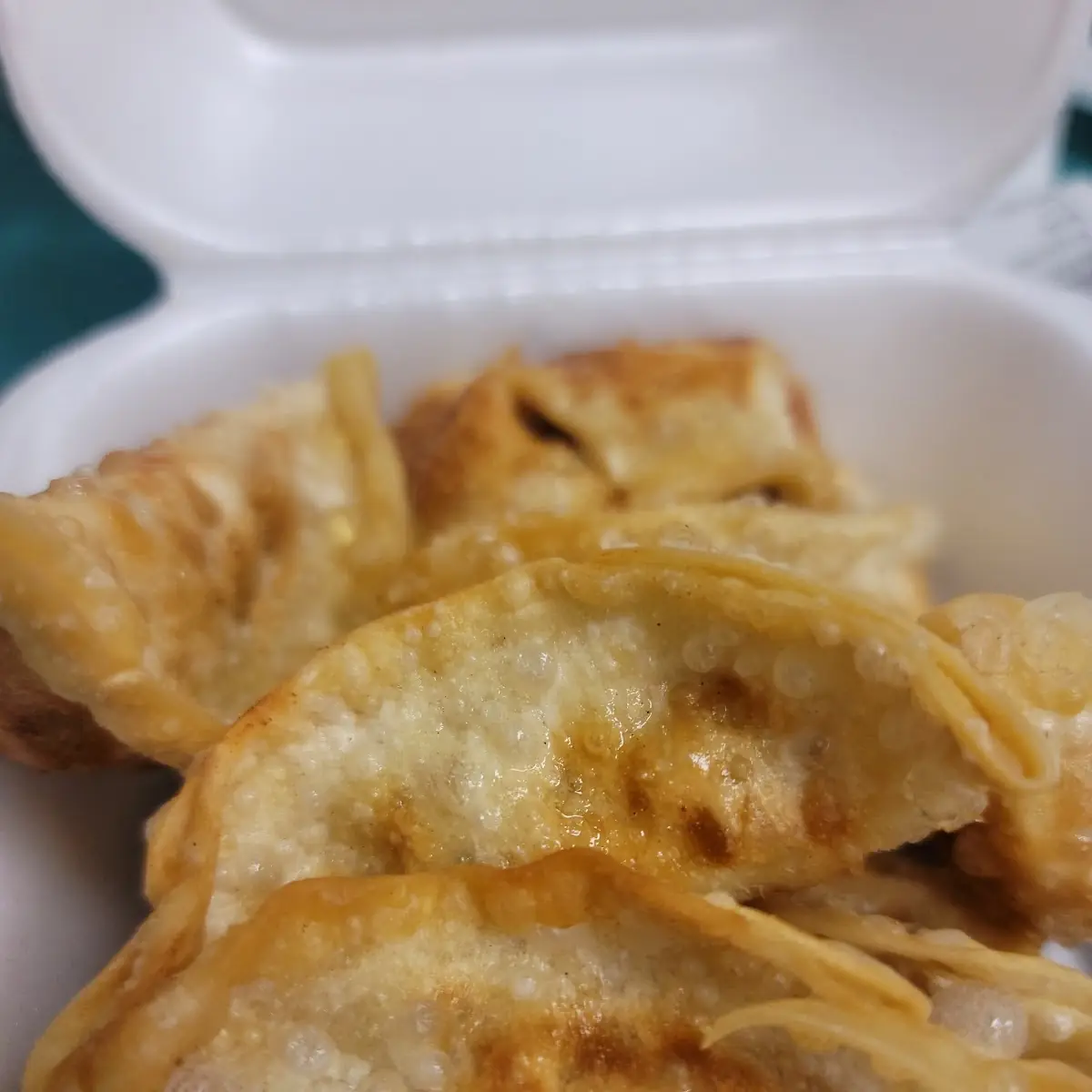 Fried Dumplings
