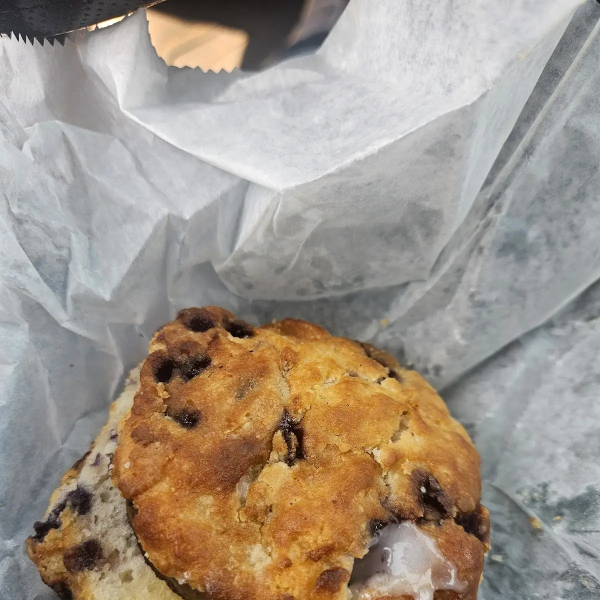Blueberry Muffin