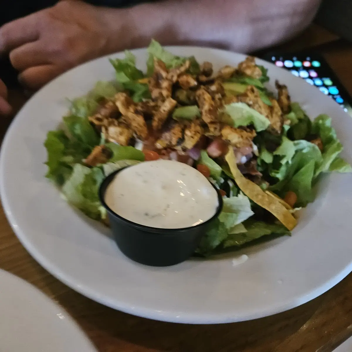 Garden Salad with Shrimp