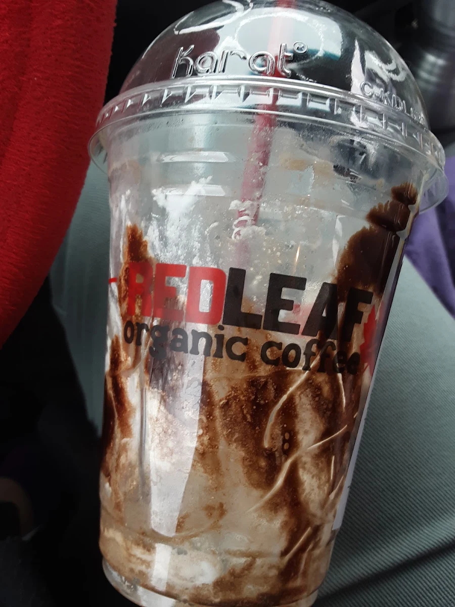Arctic Rocky Mountain Mocha