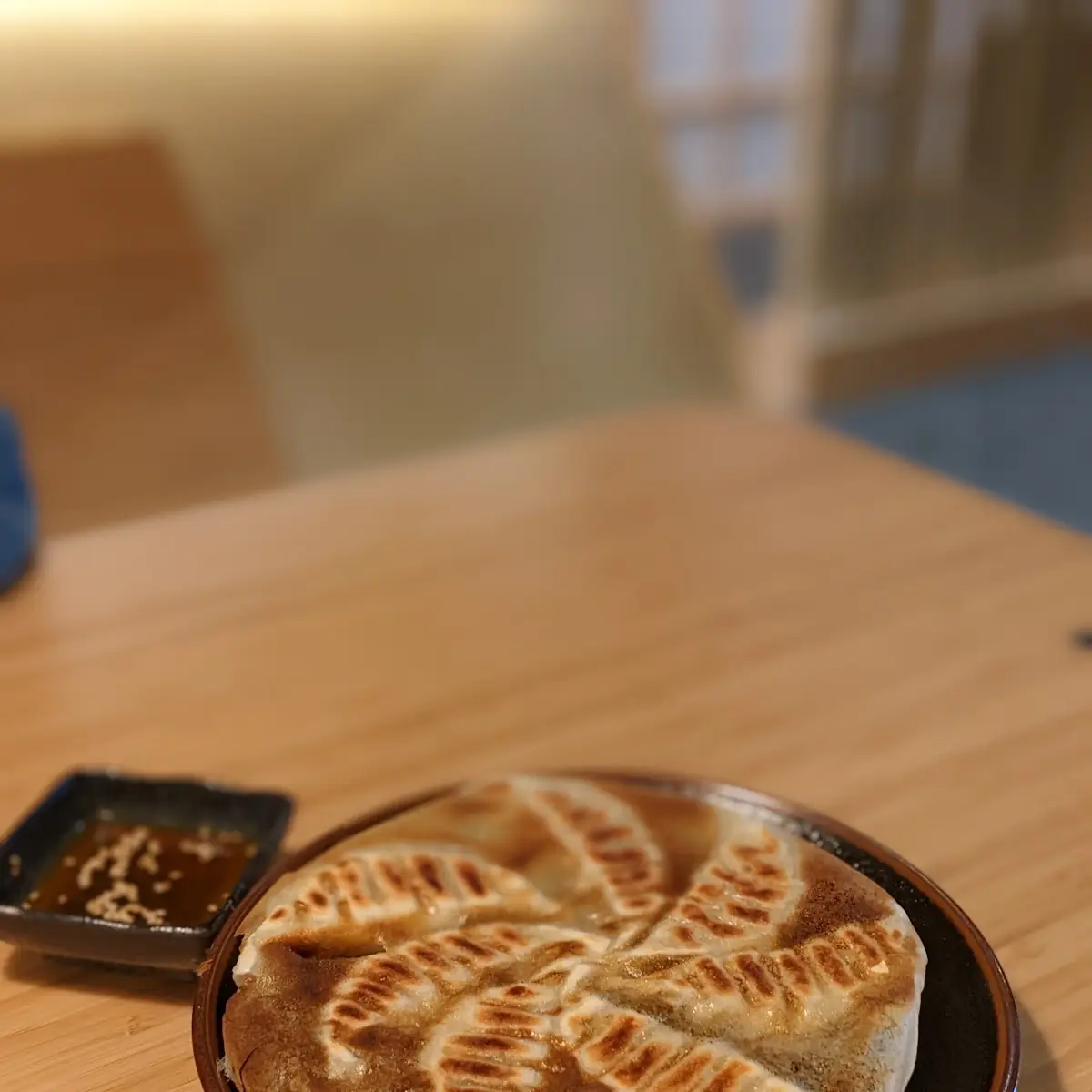 Pan Fried Gyoza Dumplings