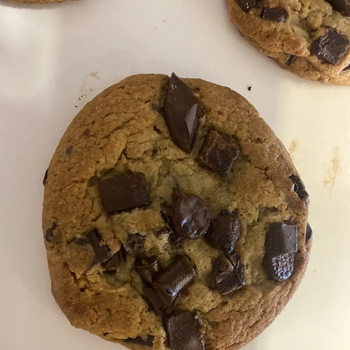 Chocolate Chip Cookie