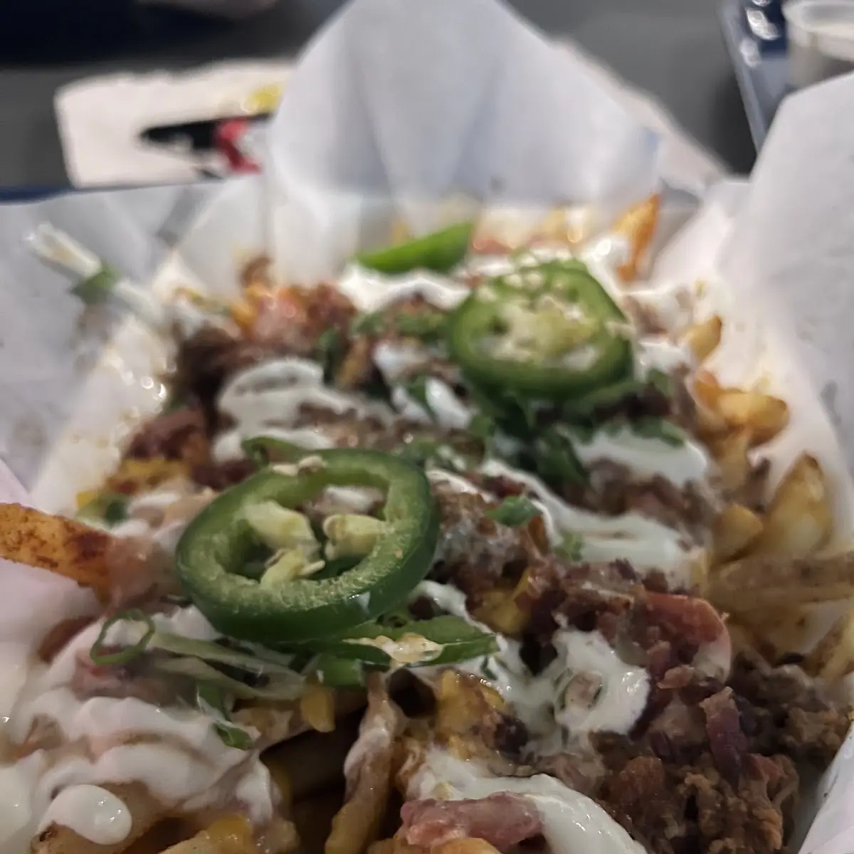 Loaded Fries