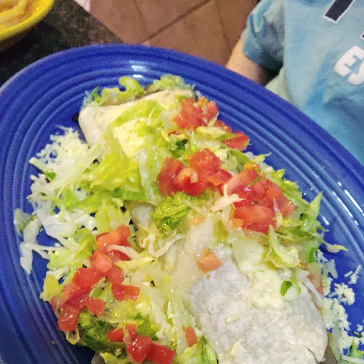Shredded Pork Burrito
