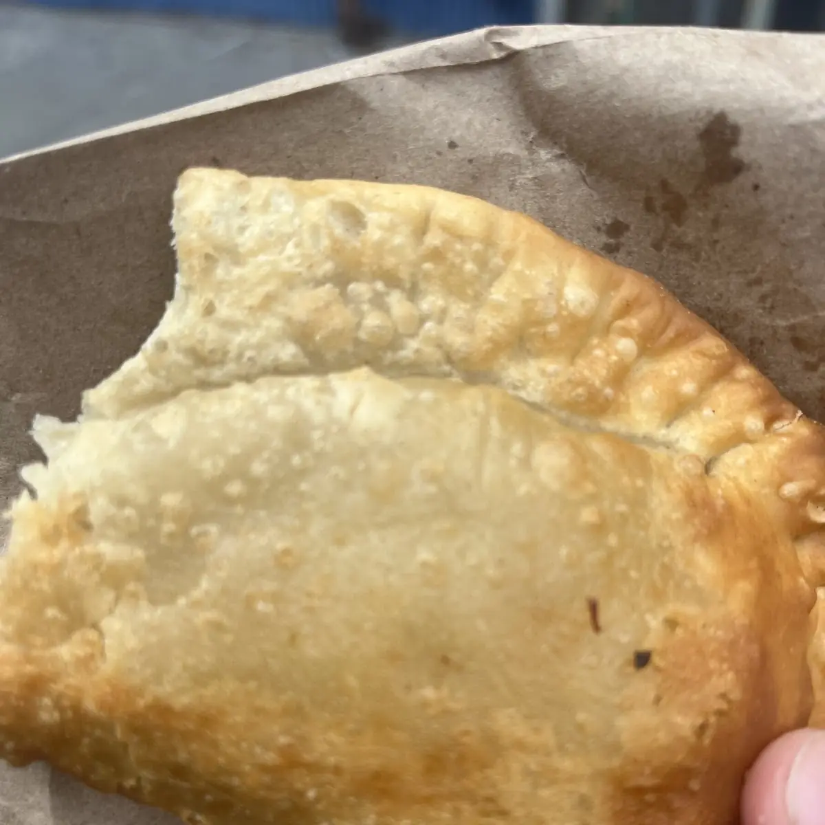 Chicken Empanada
