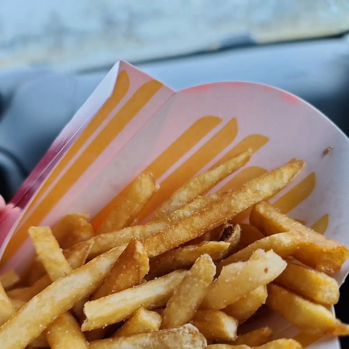 World Famous Fries