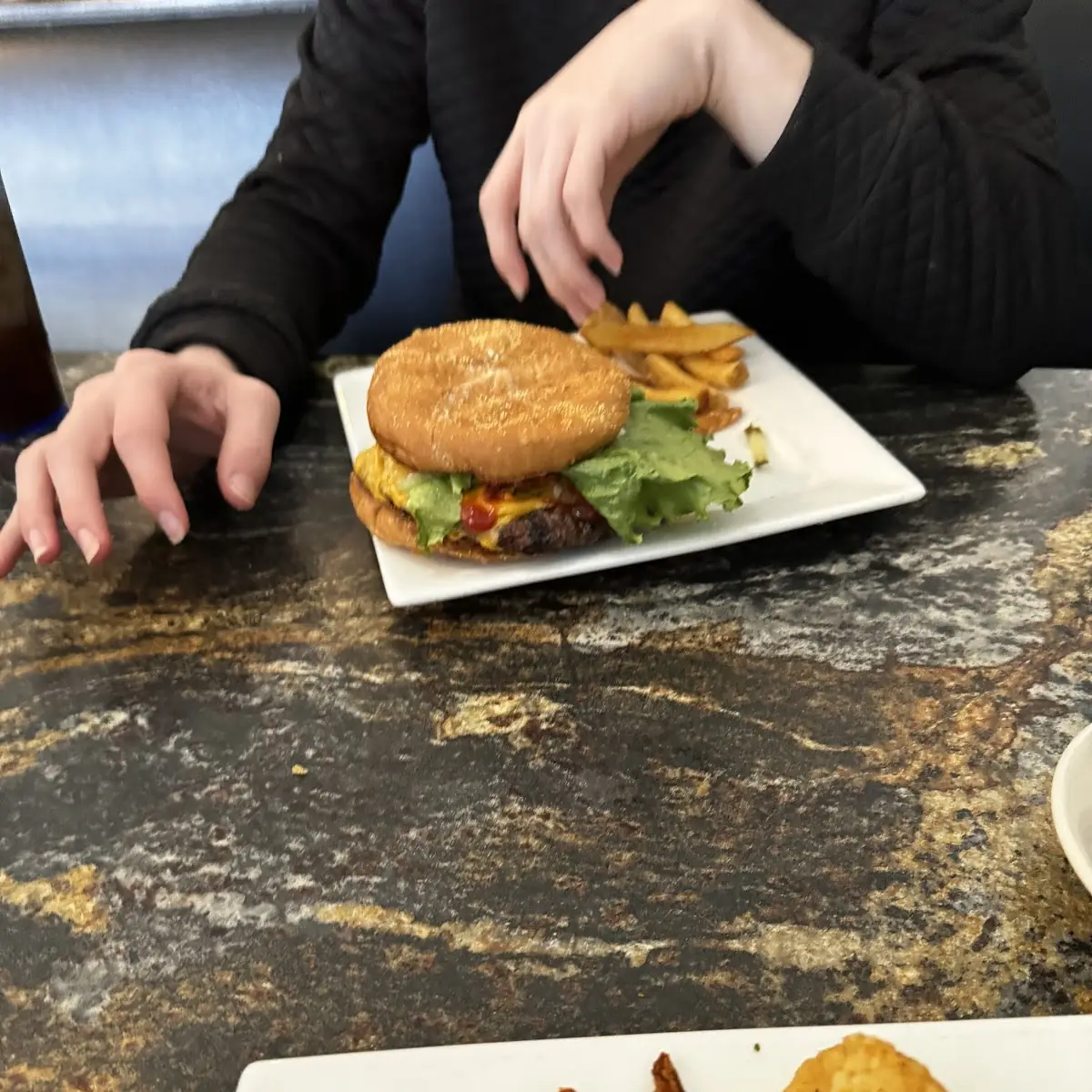 Cheese Burger and Fries