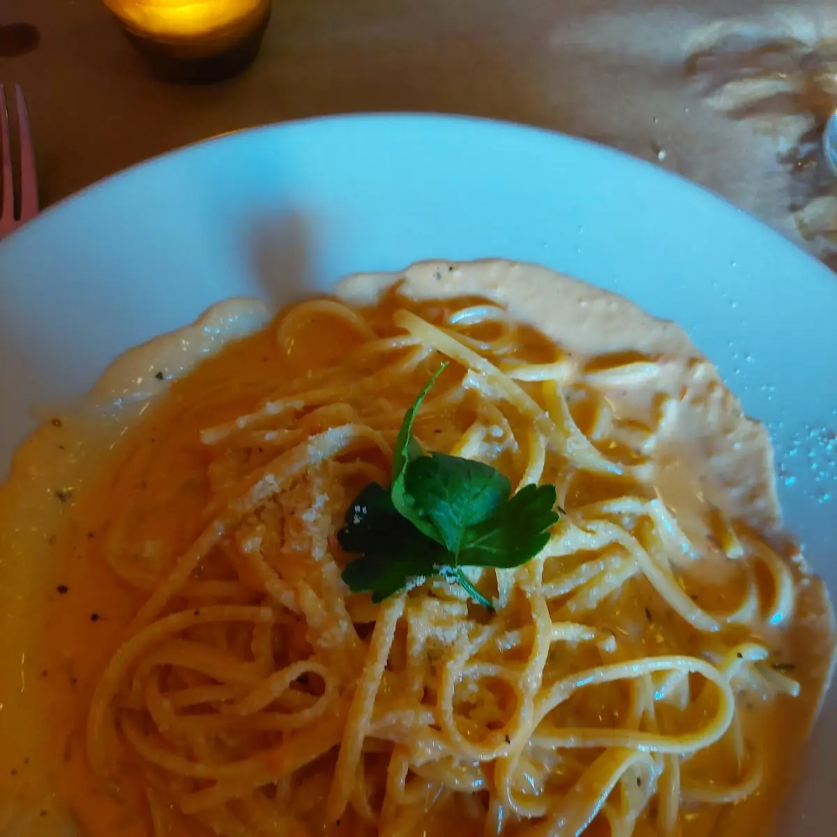Alfredo Pasta with Marinara