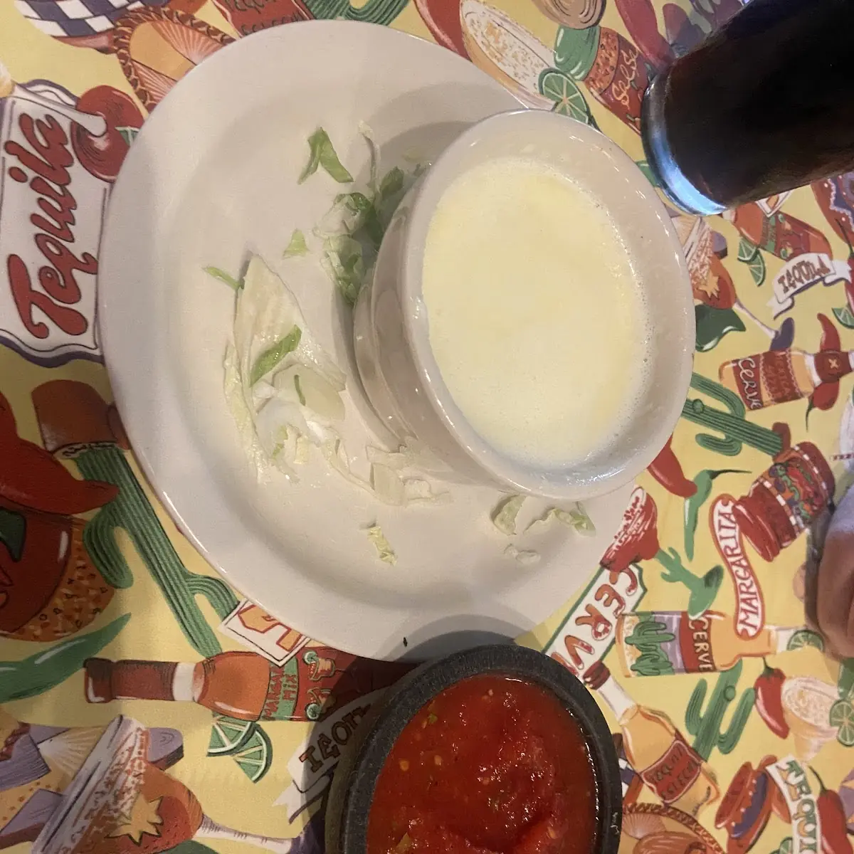 Cheese Dip and Salsa