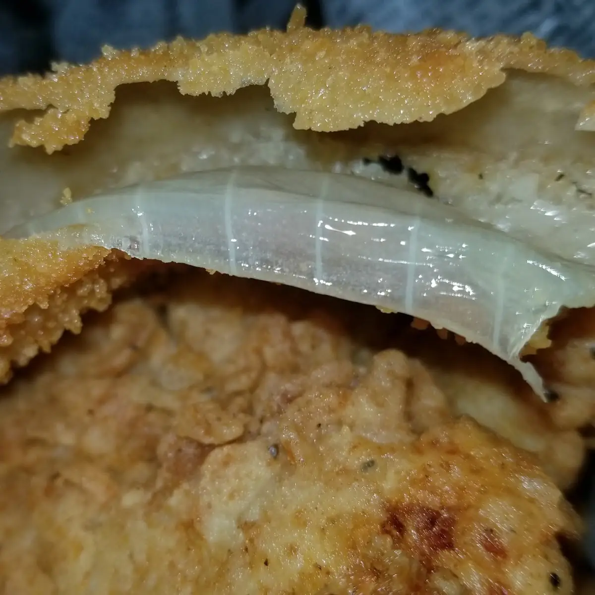 Fried Fish