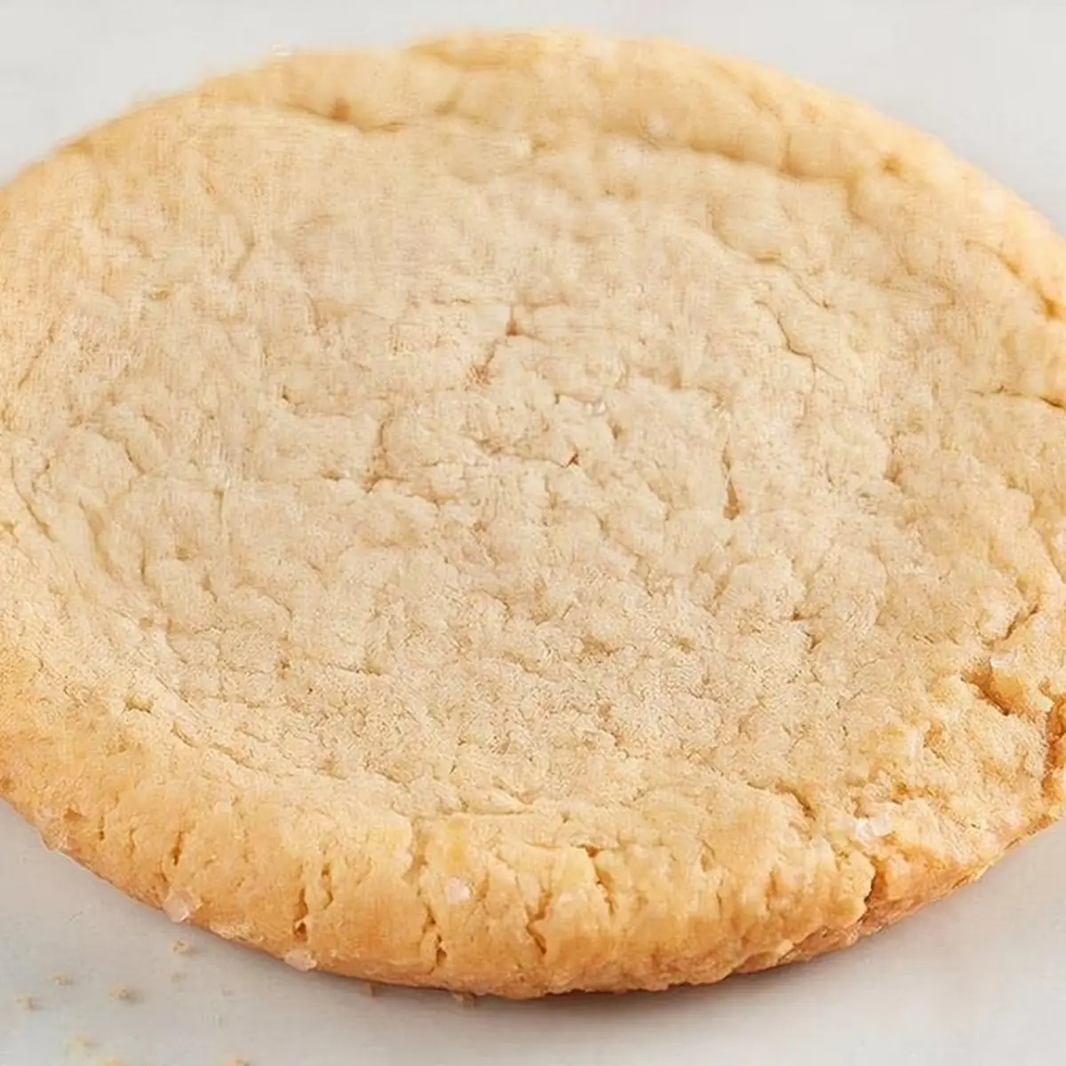 White Chocolate Macadamia Cookie