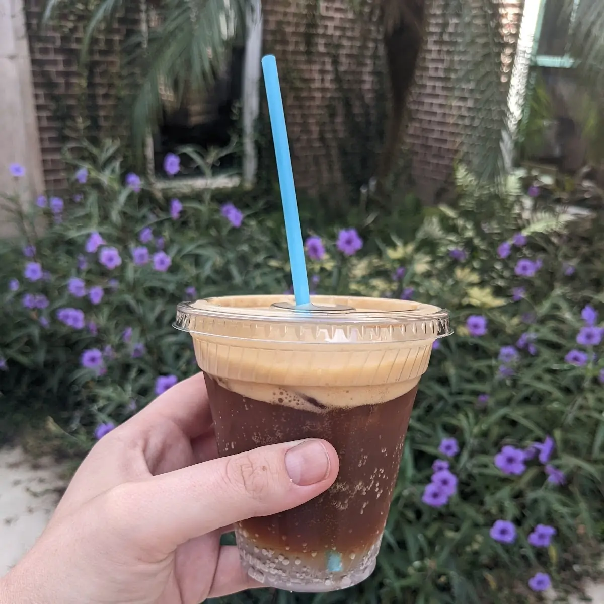 Banana Pudding Cold Brew