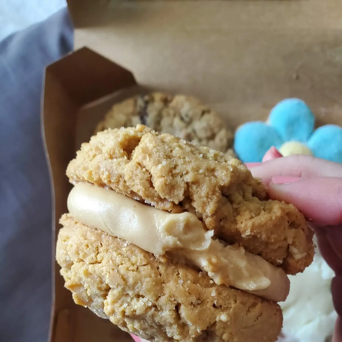 Peanut Butter Sandwich Cookie