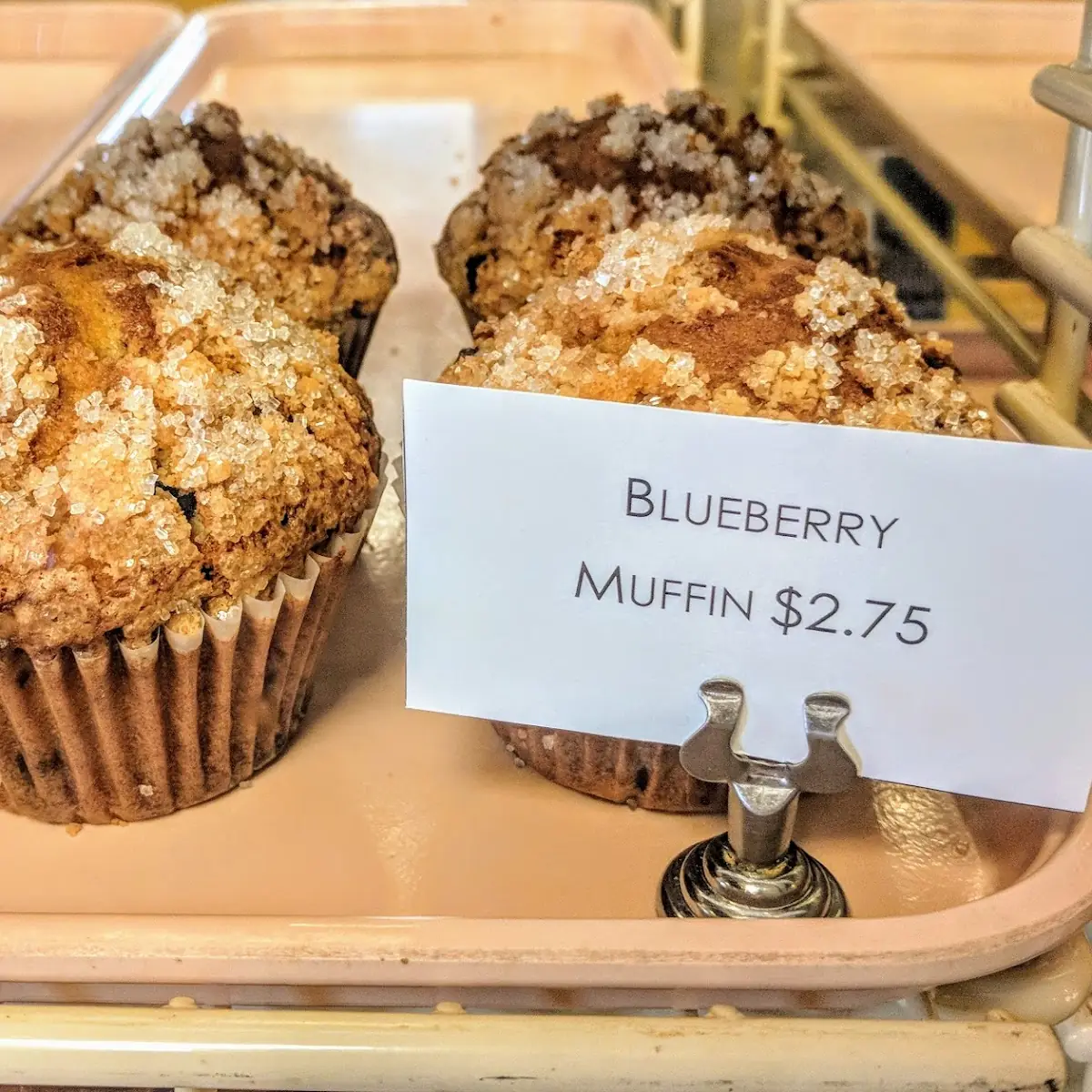 Blueberry Muffin
