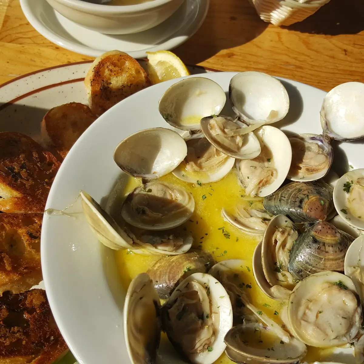 Steamer Clams