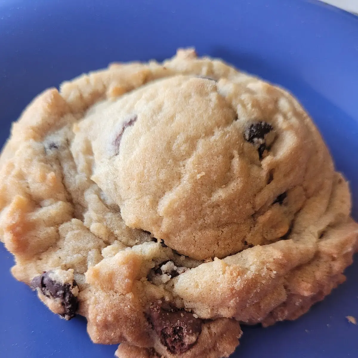 Chocolate Chip Cookie