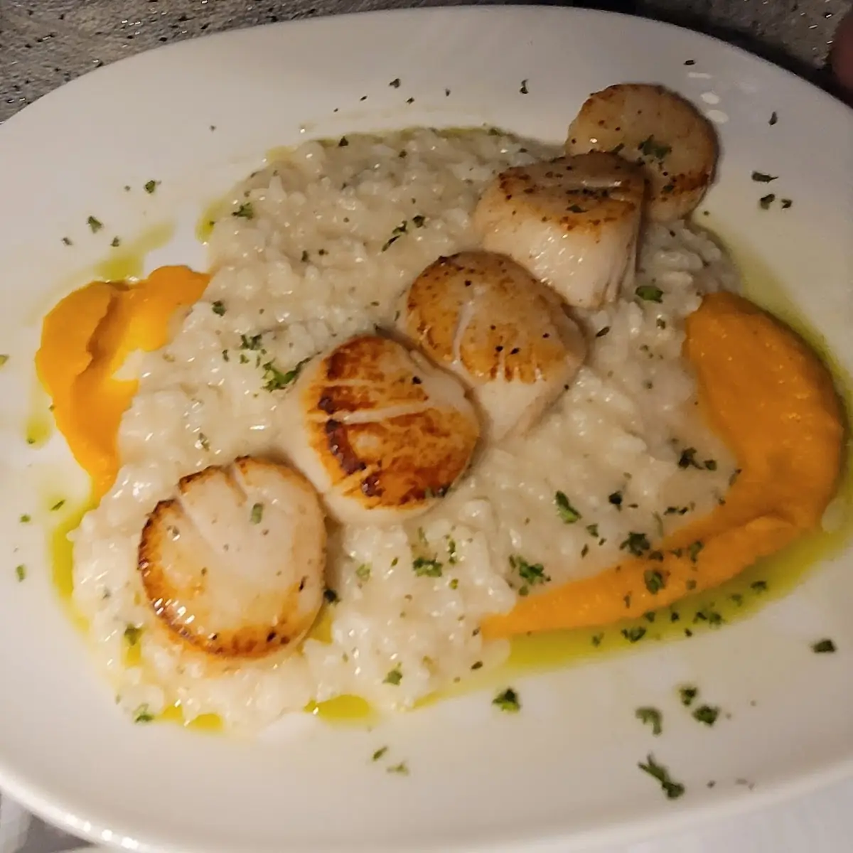 Sea Scallops