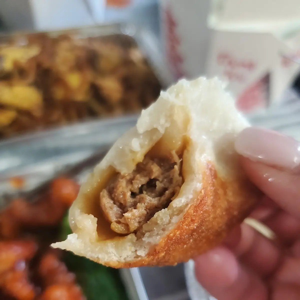 Fried Dumplings