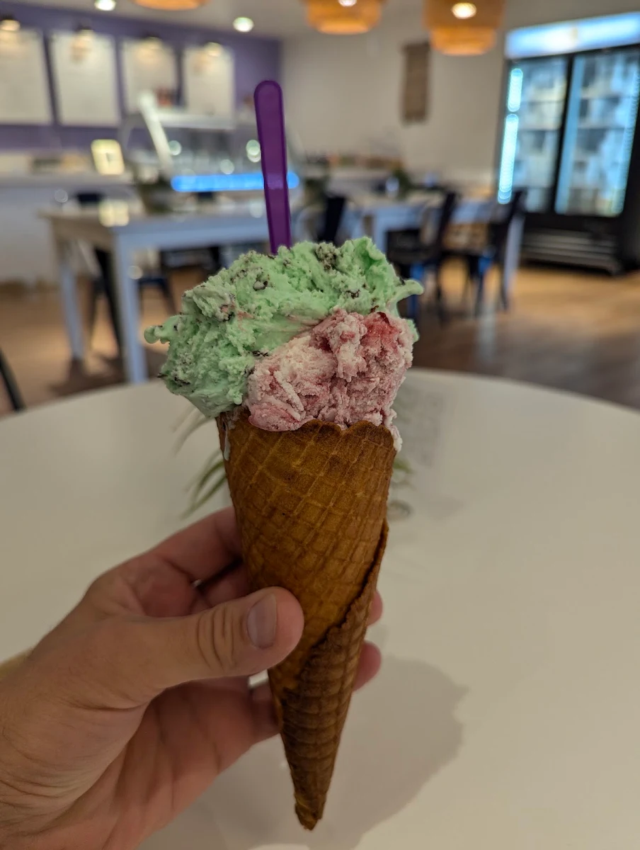 Mint Chocolate and Cherry