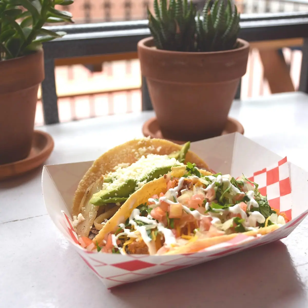 Dish Tacos