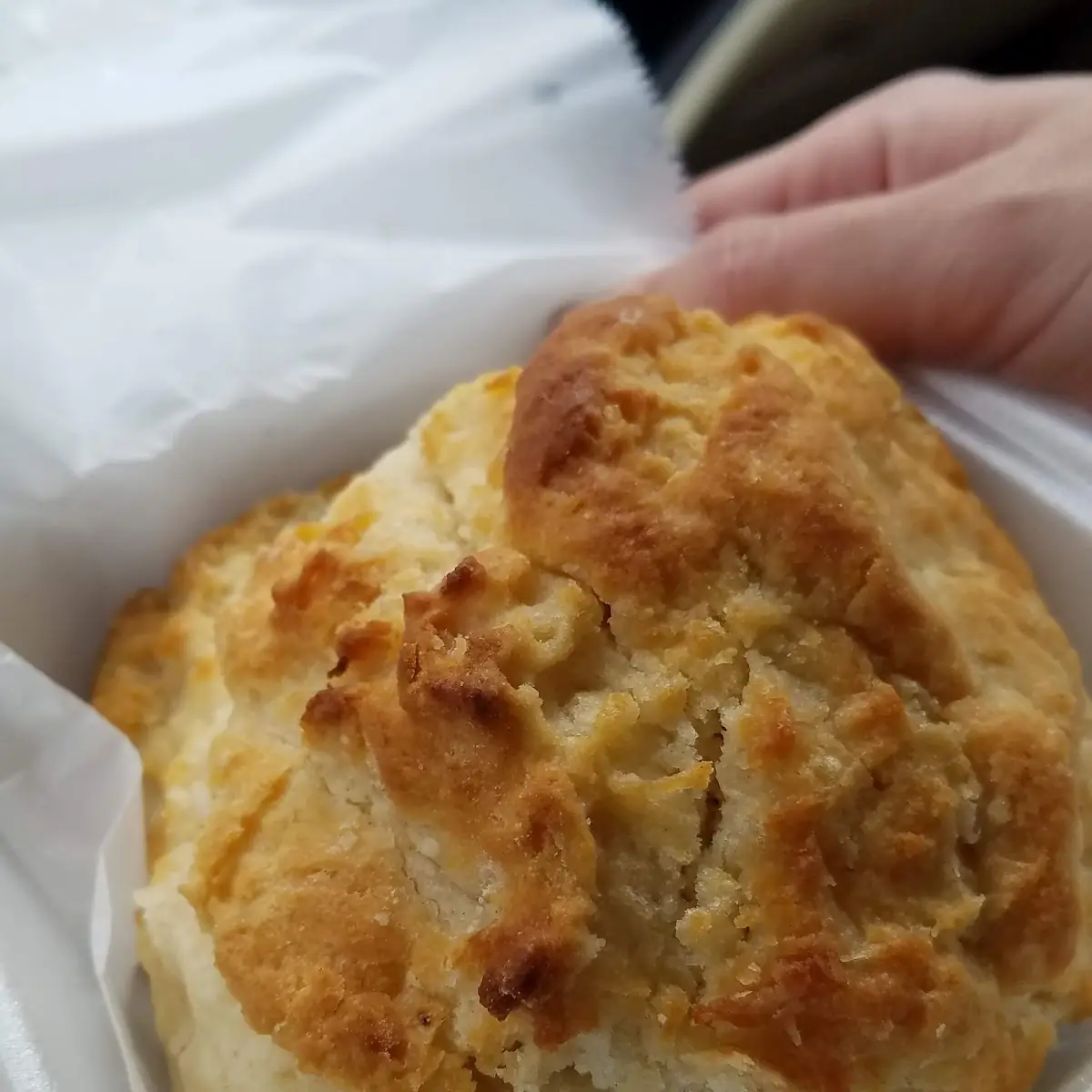 Sausage Biscuit