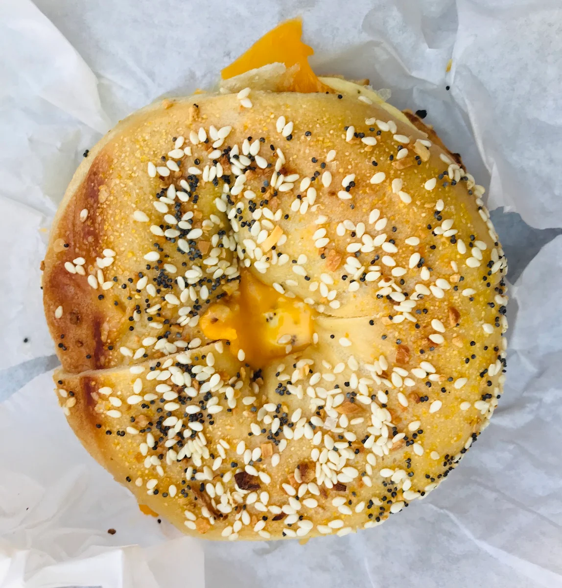 Everything Bagel with Egg N Cheese