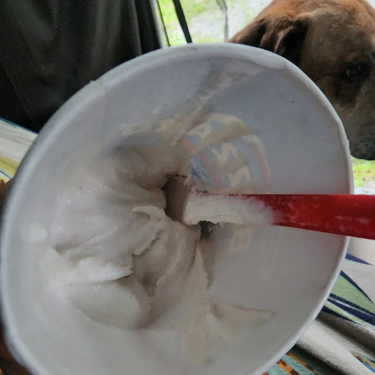Cotton Candy Blizzard Treat