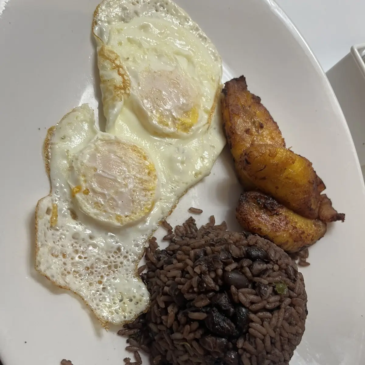 The Miami Grand Slam