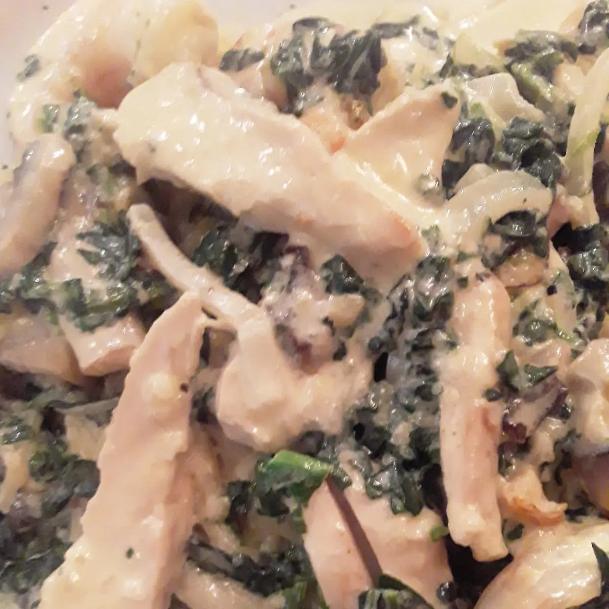 Florentine with Chicken Shrimp