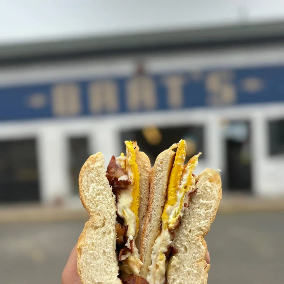 Egg and Cheese Sandwich