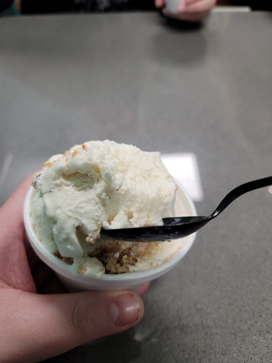 Chocolate Chip Cookie Dough