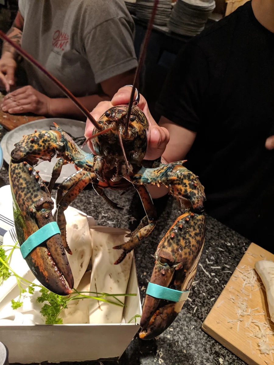 Lobster 1 1 2 lb