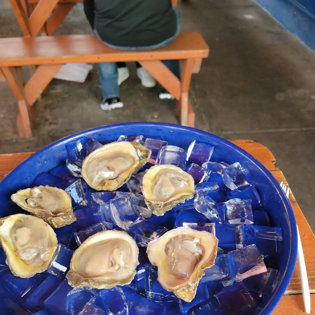 Oysters on the Half Shell
