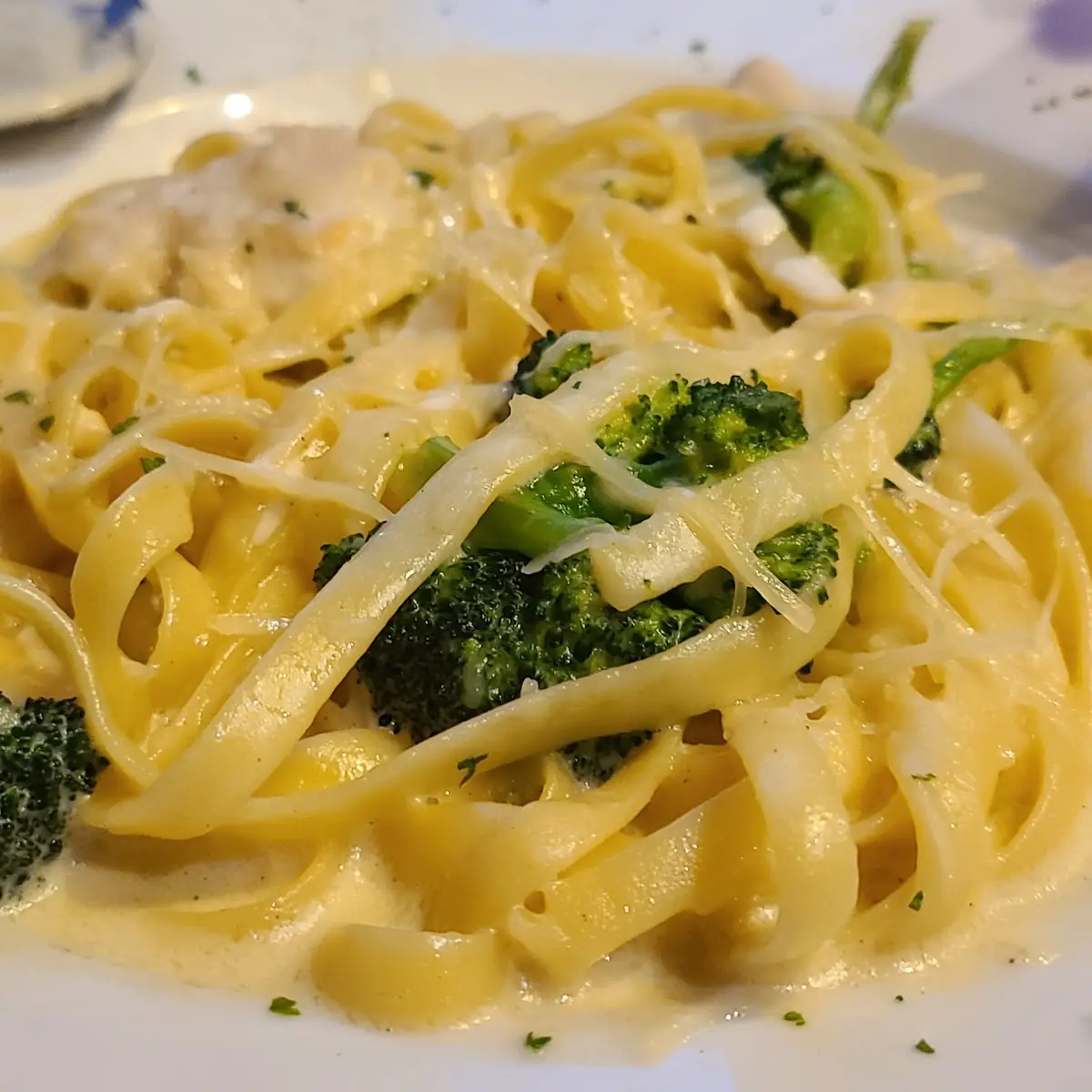 Broccoli Chicken Alfredo