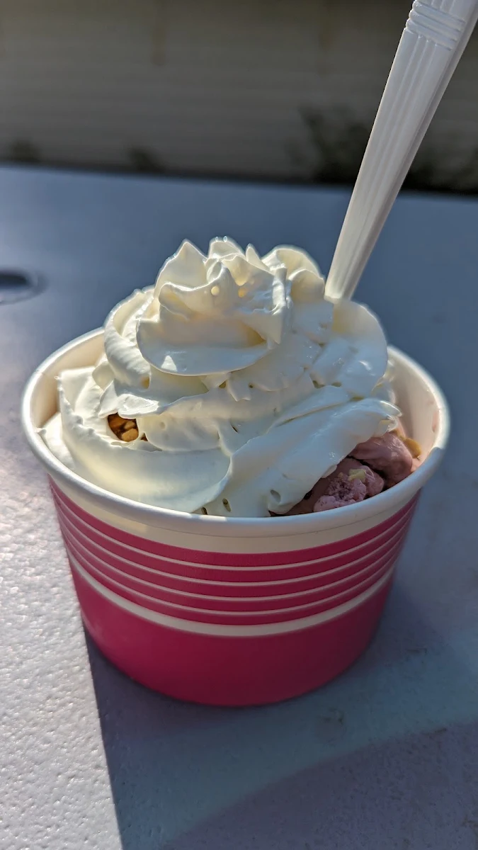 Frozen Custard