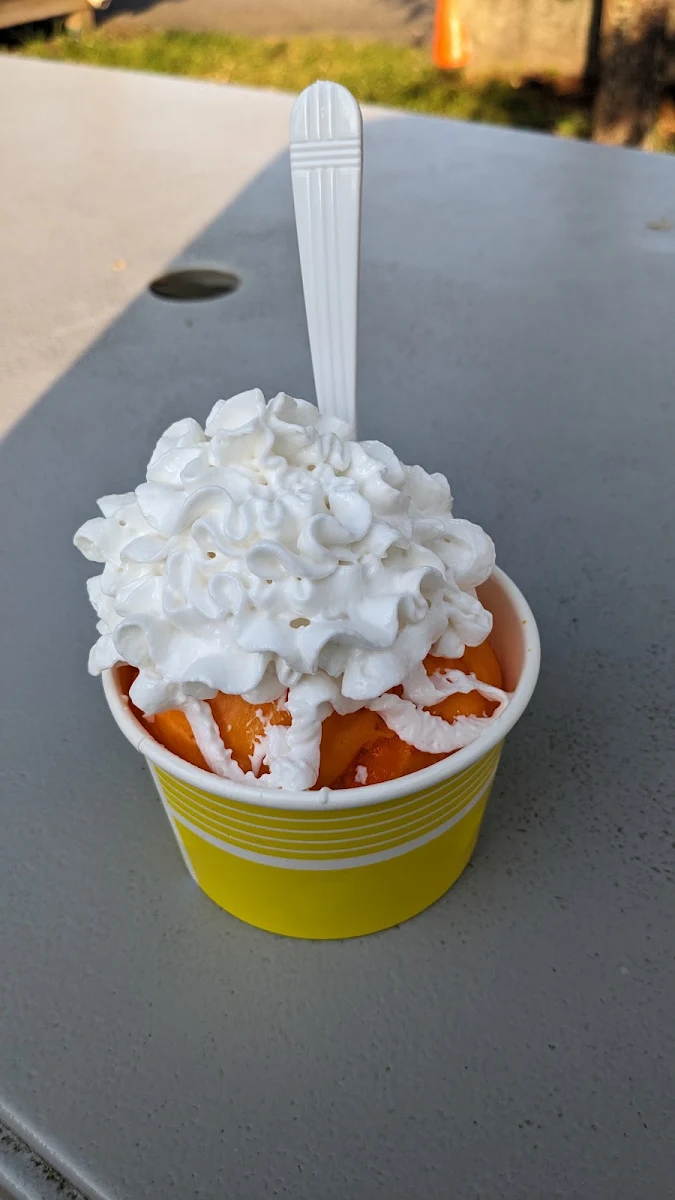 Vegan Peach Ice Cream