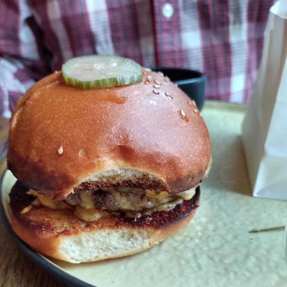 Bison Burger