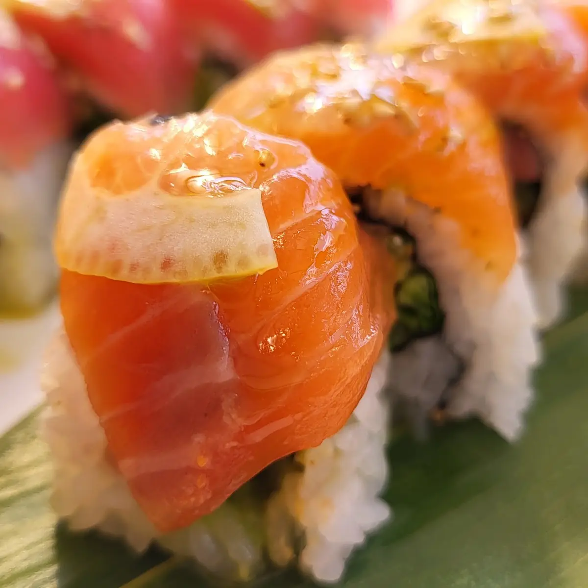 Salmon Avocado Roll