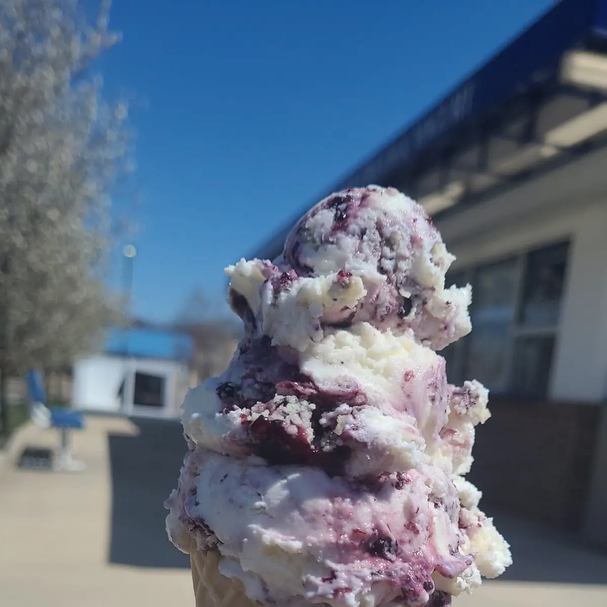 Blueberry Cobbler in a Waffle Cone