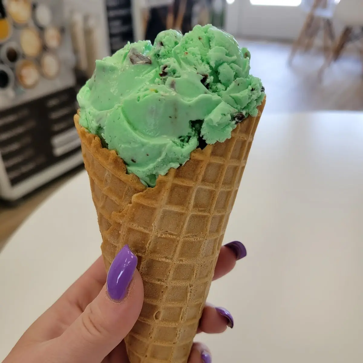Mint Chocolate Chip Ice Cream Cone
