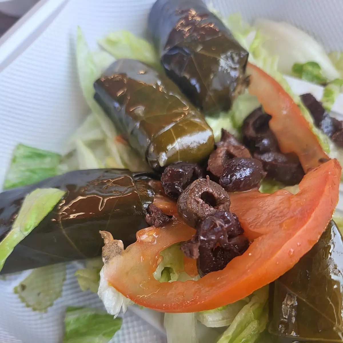 Stuffed Grape Leaves