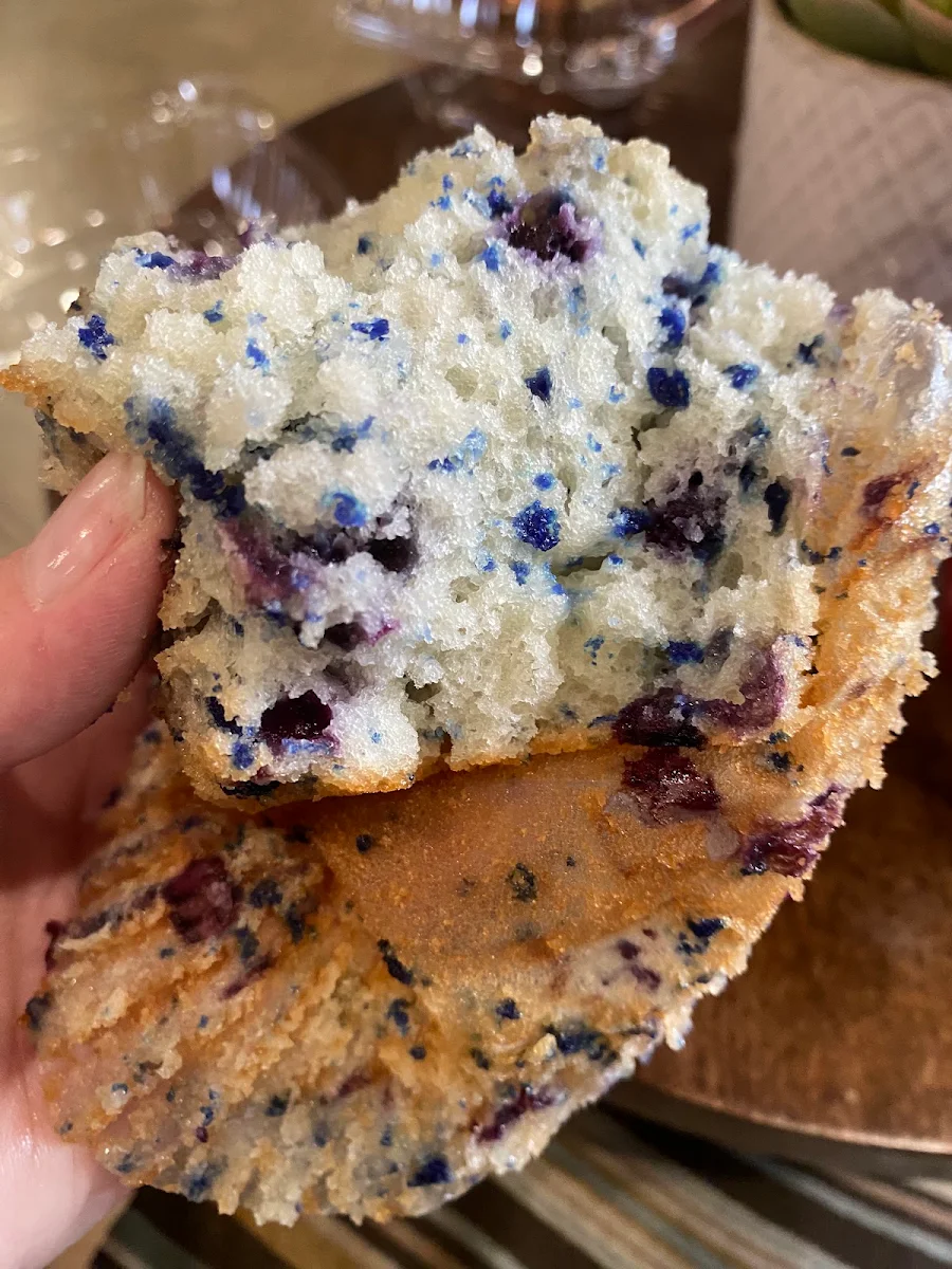 Blueberry Muffin