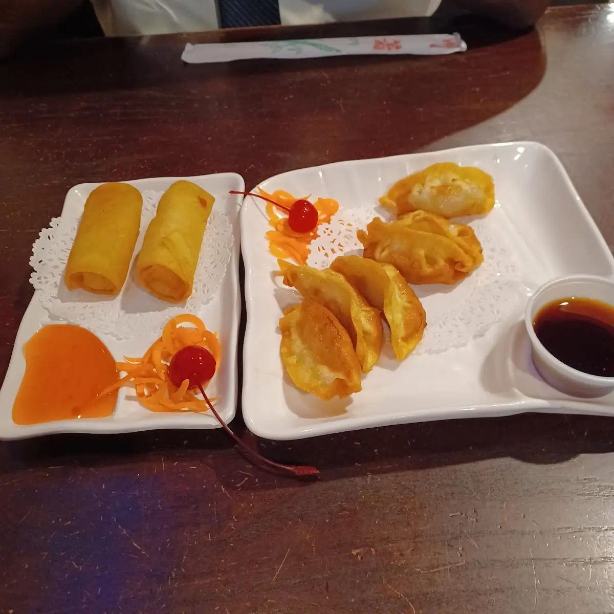Spring Rolls and Fried Dumplings
