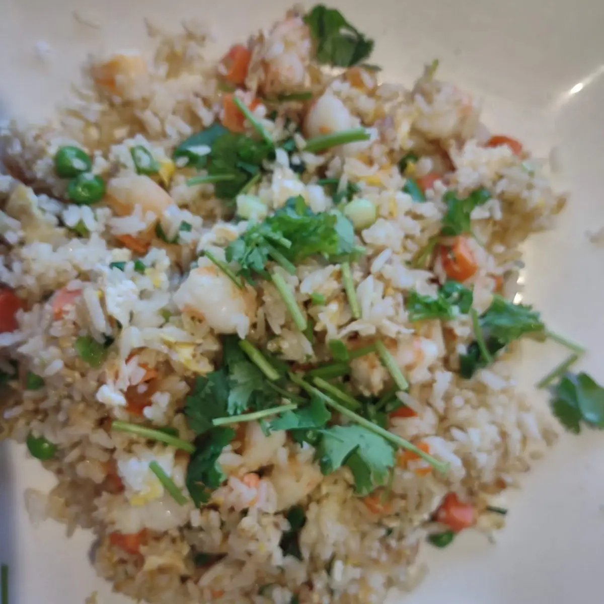 Fried Rice Tofu Com Chien Chay